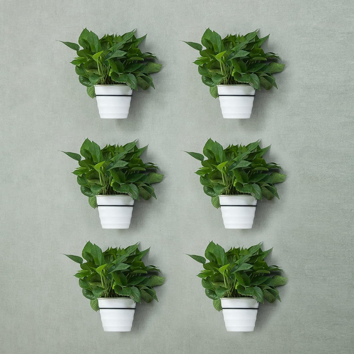 6 Inch Flower Plant Holder Ring Wall Mounted Metal Plant Pot Hanger, Set of 6 Pot Ring Plant Wall Hanger, Planter Bracket, Iron Black