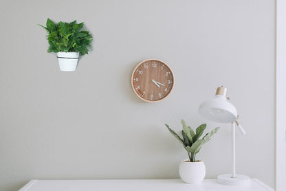 6 Inch Flower Plant Holder Ring Wall Mounted Metal Plant Pot Hanger, Set of 6 Pot Ring Plant Wall Hanger, Planter Bracket, Iron Black